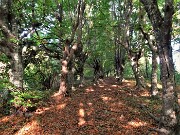 13 Sentiero dei roccoli